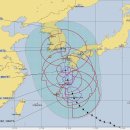 제10호 태풍 하이선 경로 예보 비교 이미지