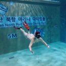 아미고스 | 개헤엄도 못하는 사람의 부산 프리다이빙 원데이, 아미고스 후기