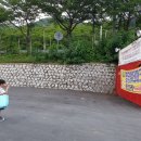 Only원태권도 이미지