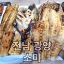 [전남 광양]소미 생선구이 맛집 내돈내산 후기