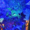 인스파이어 엔터테인먼트 리조트 이미지