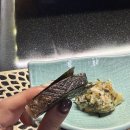 솔향스시 | 부산오마카세 추천 송정호 일식에서 민코스 먹고 왔어요