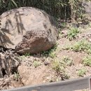 장호초등학교 이미지