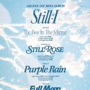 어센트컴퍼니 이미지