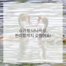 바디페이스 이미지