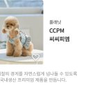 씨씨피엠(CCPM)