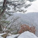 [경상도의 숨은 명산 상주 갑장산] 러브 스토리와 다정불심…각별했던 '사벌국 鎭山' 이미지