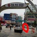금사상회