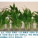 승연이네