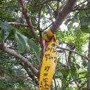 북산농장 이미지