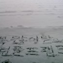 그린골프 이미지