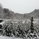 안동농원 이미지