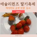 초이스 성인PC | 2026 애슐리 퀸즈 딸기 축제 평일 런치 금액 후기