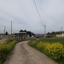 동광리-7 이미지