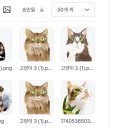유이작가 / 미리캔버스 디자인허브 승인 후기