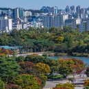 서울 하늘공원 억새축제 이미지