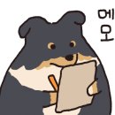 한우홀릭 이미지