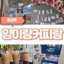 대구 중구(양이랑커피랑)아이와함께 동성로 고양이카페 방문후기 이색데이트코스로 추천