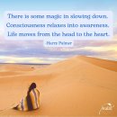 자명유과 이미지