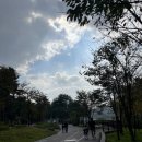 구공김밥 이미지