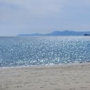 명사십리해수욕장 네이버블로그