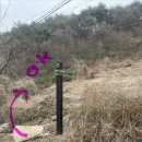 구병세천-1 | 블랙야크 100대 명산 1일 3산 구병산,청화산,칠보산 완주 후기(1)_2026.03.15