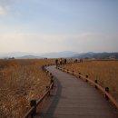 순천만 갈대밭 이미지