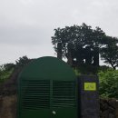 이교동일제군사시설 이미지