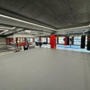 이엑스 복싱(EX BOXING) 이미지