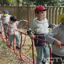 유아동네숲터 이미지