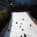 양지파인리조트 눈썰매장 티스토리