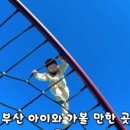 금정체육공원_꿈나래어린이극장 이미지