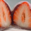 과일손질의달인 | 서울시 서대문구 연희동 딸기 무화과 찹쌀떡 도라야키 | 생활의 달인 1009화