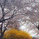 [일원3] 유화&아크릴화 산책 | 경남 사천 명소 산책로 아이들 데리고 가볼만한 곳 추천