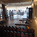 웰 휘트니스 이미지