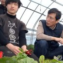 김정남농장 이미지