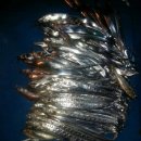 개도민박 이미지