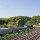 농협 강화농협선원지점 이미지