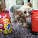 해비치동물병원 이미지