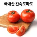 토마토 이미지