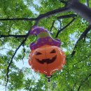 종로-연건-종로-연-422 | 청명한 가을하늘 아래 닭한마리홍어퍼블릭가든킹키부츠댑싸리롯데월드