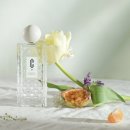 러브스 엘레강스 | [퍼퓸허브] 카페 퍼퓸허브 2부: 콜로프 & 카를로타 레이 시향리뷰