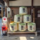 강변자전거길(북) | [북큐슈 2주 여행/6일차] 진격의 거인, 히타/아마가세 온천, 신시요 료칸