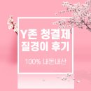Y존 청결제 질경이 내돈내산 후기