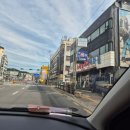 부산복집 | 남양주 금곡 맛집 부산복집 시원한 복지리탕 내돈내산 후기