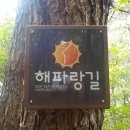 완주 | 부산 해파랑길 3코스 4시간 30분 소요 완주 후기