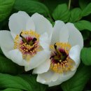 봄뜰부부한의원 이미지