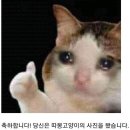 따봉 이미지