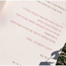 에세이추천 , 나라면 나와 결혼할까? 베스트셀러 후이 저자 반짝이는 고백 책 후기