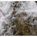 그린밸리펜션 이미지